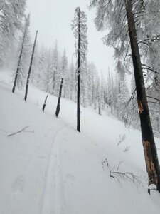 20221216_140309.jpg