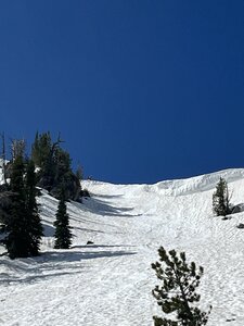 IMG_3094.jpeg